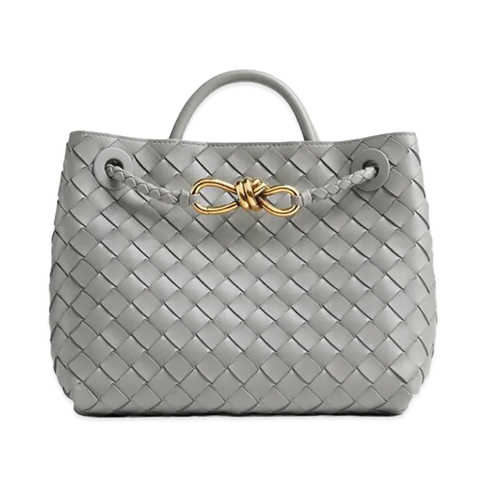 Bottega Veneta Small Andiamo "Sterling"