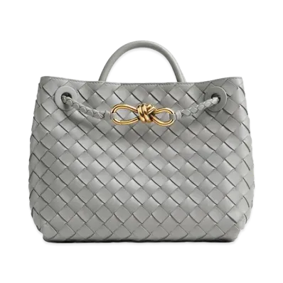 Bottega Veneta Small Andiamo "Sterling"