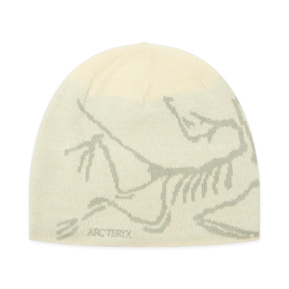 ARC'TERYX Bird Head Toque "Sea Salt/Habitat" X000006756022831