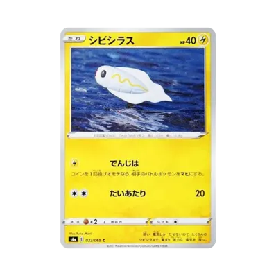 麻麻小魚