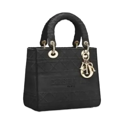 Dior Medium Lady D-Lite Bag "Black"