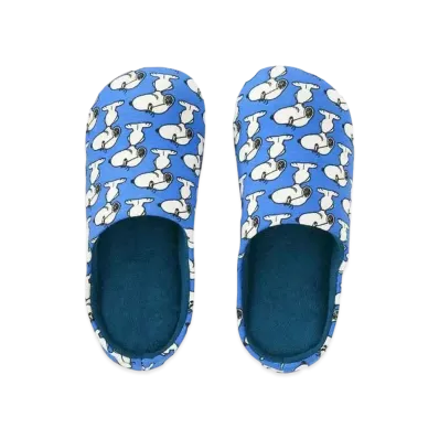 Uniqlo x KAWS x Peanuts Snoopy Room Shoes "Blue"