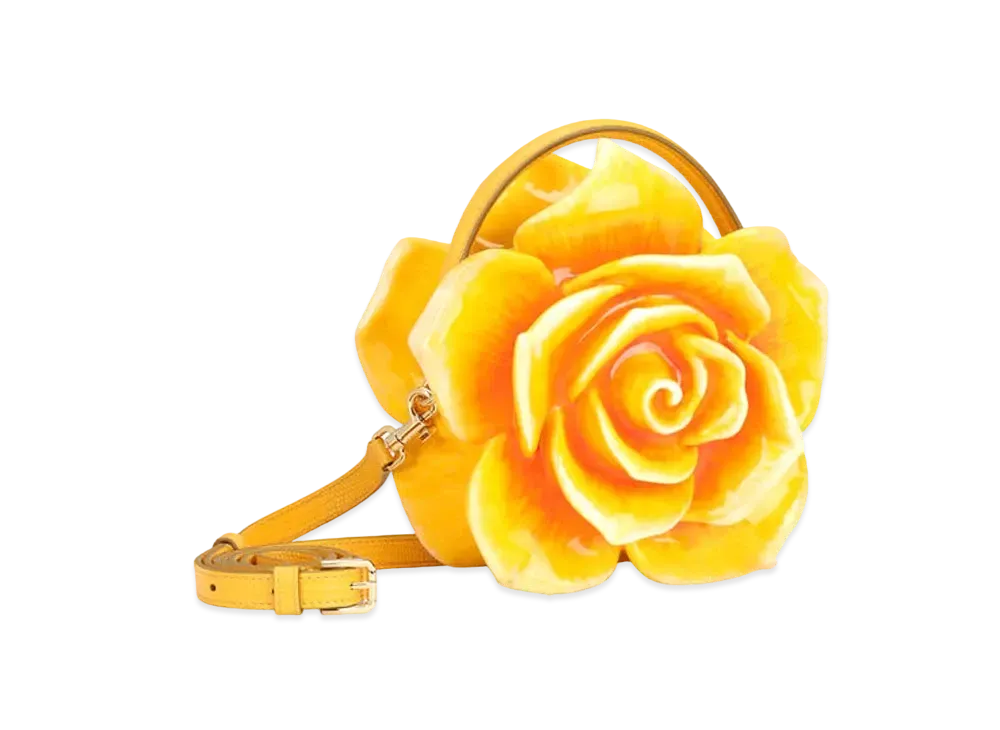Dolce&Gabbana Dolce Box Bag Paint Resin Rose "Yellow"