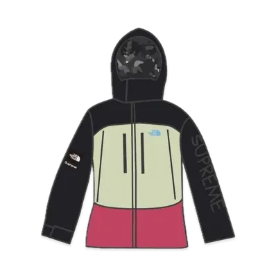 Supreme x The North Face Summit Series Jacket 2007 "Black"