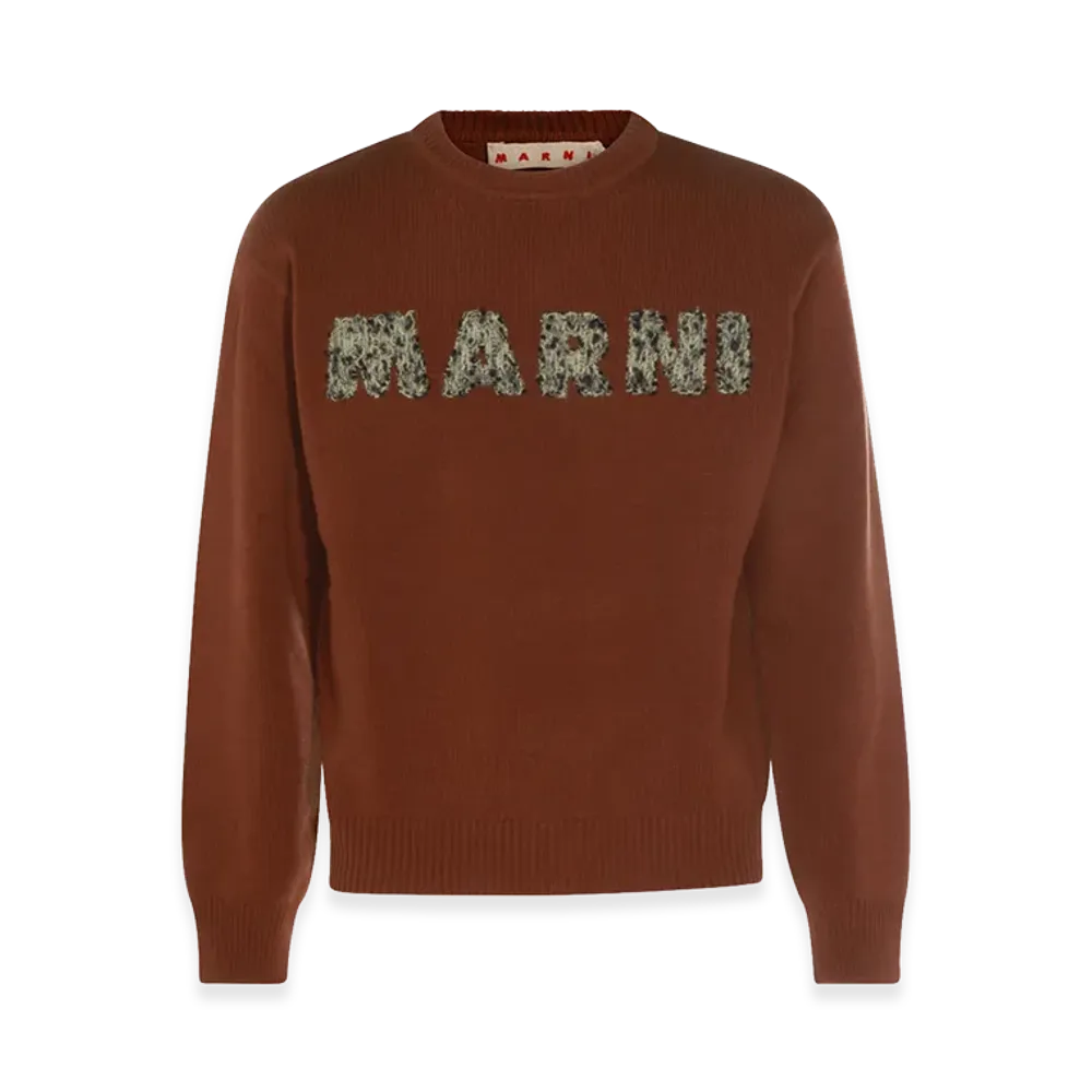 MARNI Sweaters "Brown"