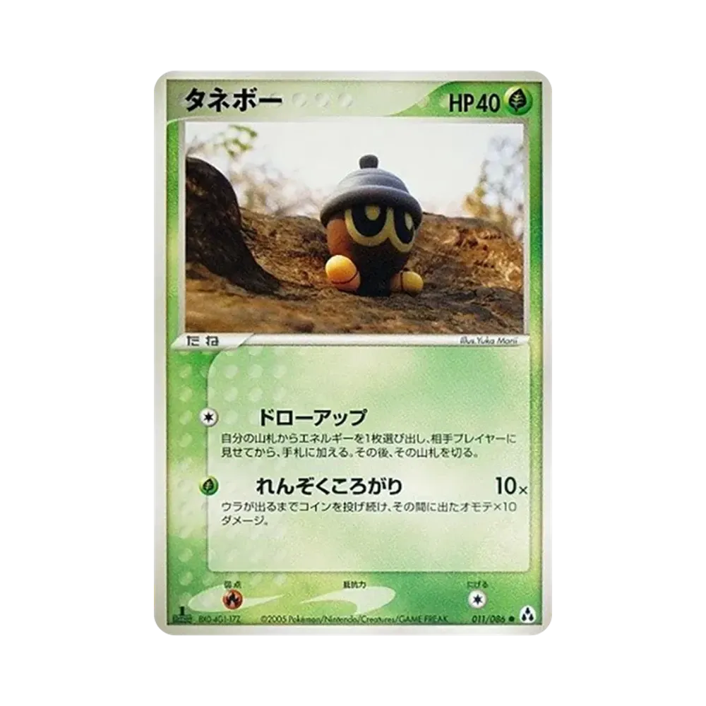 種子