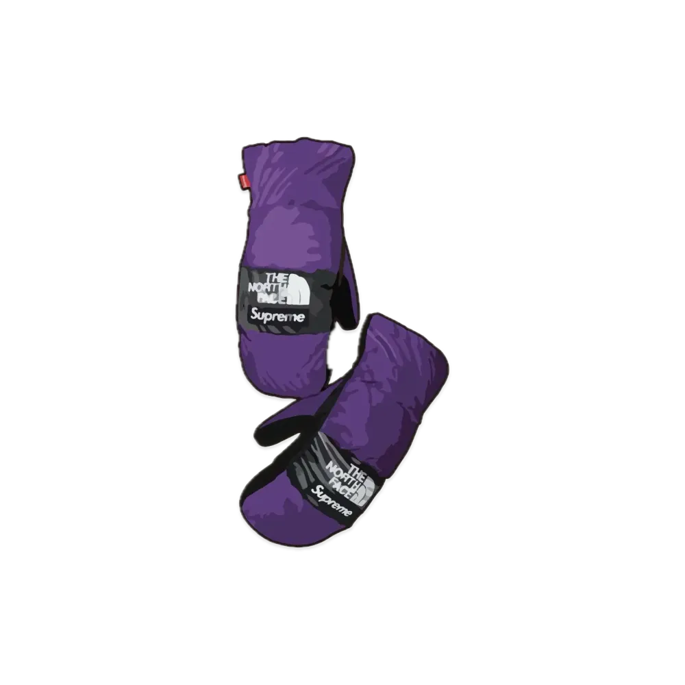 Supreme x The North Face Trompe Loeil Printed Montana Mitt "Purple"