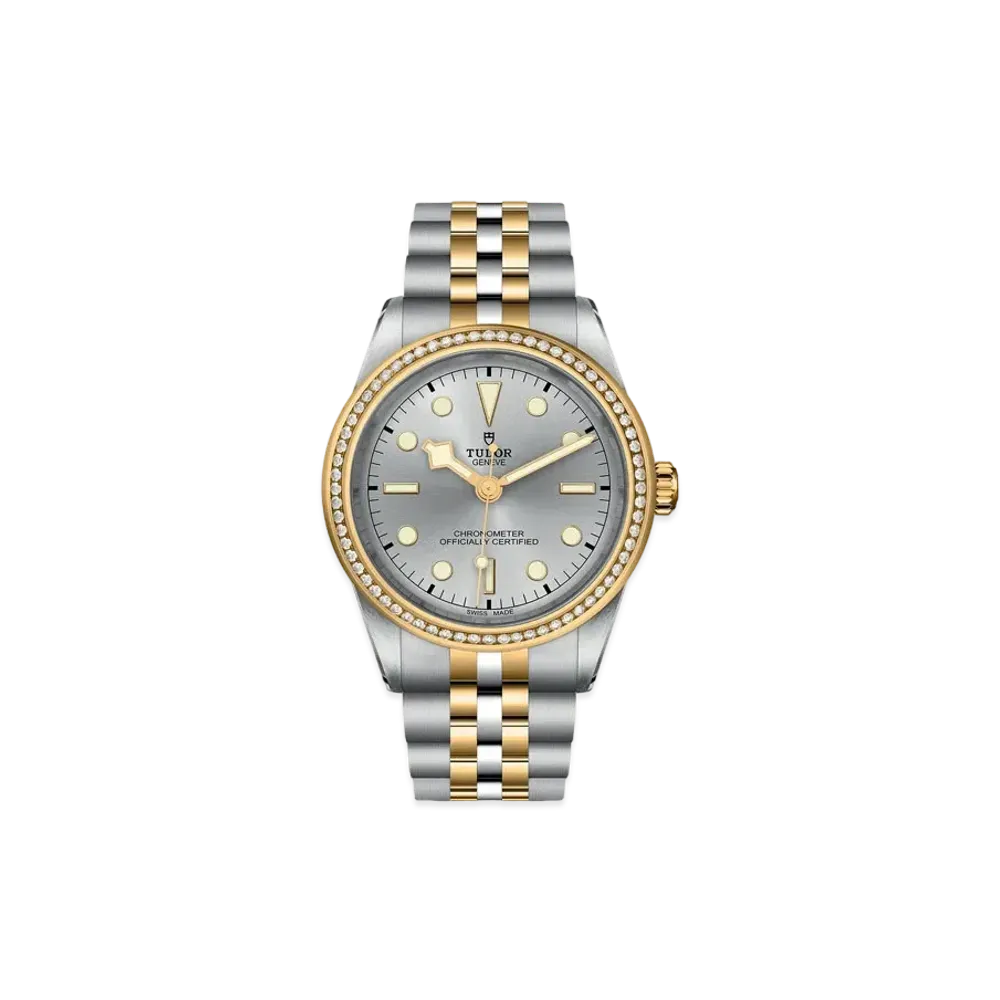 TUDOR BLACK BAY 39 S&G