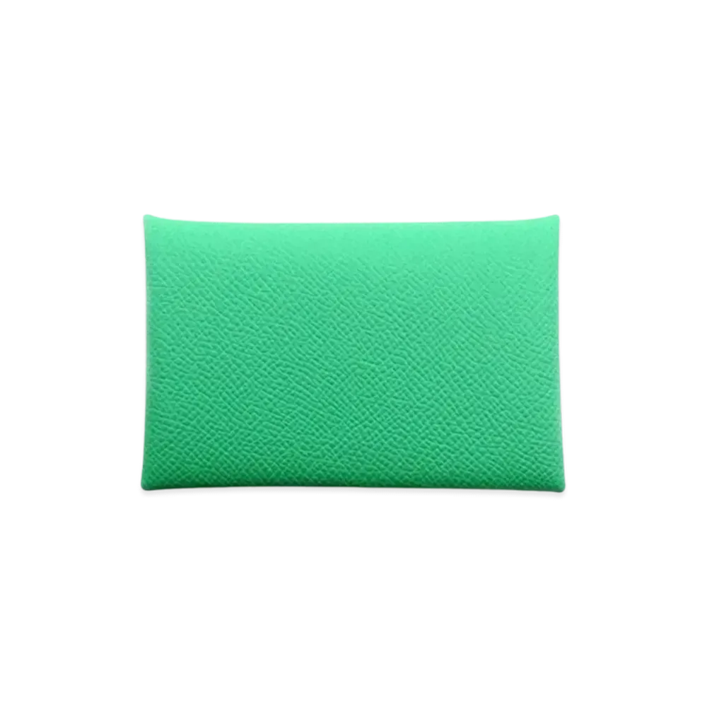 Hermes Calvi Duo Veau Epsom "Vert Comics/Vert Fizz/Silver"