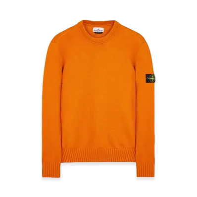 Stone Island 506A2 Winter Cotton Crewneck Knit - 23FW "Rust"