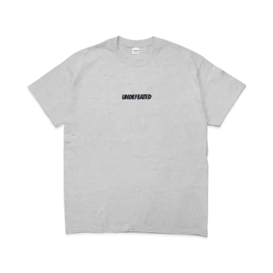UNDEFEATED HOLOGRAPHIC LOGO S/S TEE - 180086 "Gray"