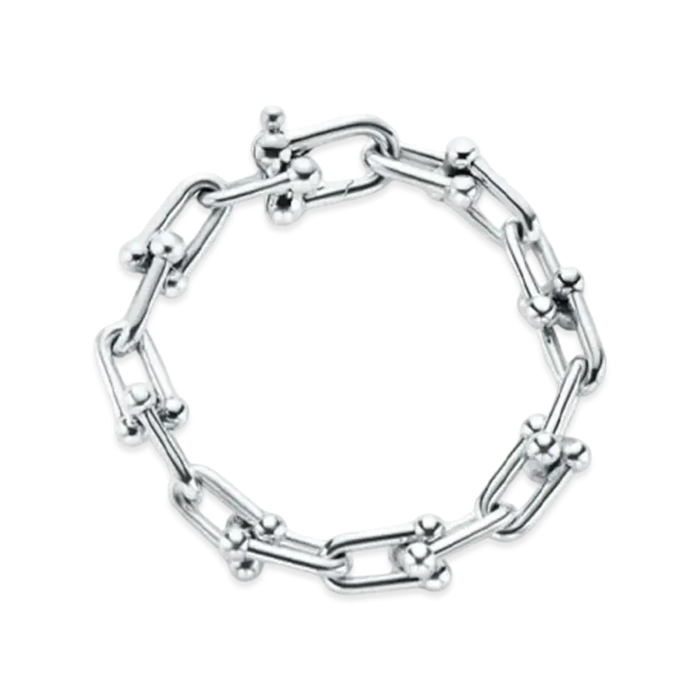Tiffany & Co. HardWear Large Link Bracelet "Sterling Silver"