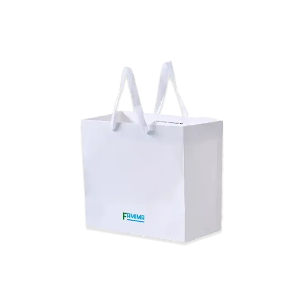 FamilyMart Convenience Wear x NIGO Paper Shopping Bag F (S) "White"