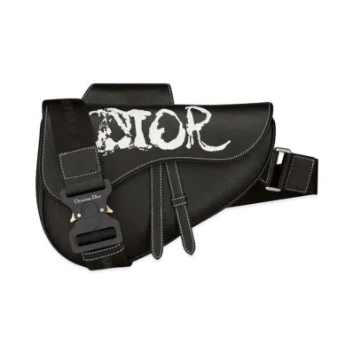 Dior Saddle Bag Dior And Peter Doig Grained Calfskin "Black"