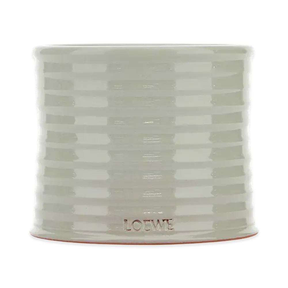 LOEWE Medium Mushrooms Scented Candle "Grey"