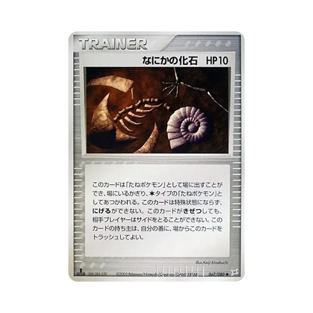 神秘化石