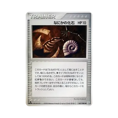 神秘化石