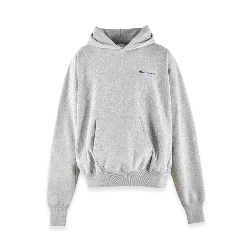 SAINT Mxxxxxx Hoodie Logo "Gray"