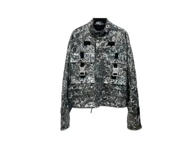 Dior Men's Roller Coaster Buckle Panther Blouson "Gray/Silver"