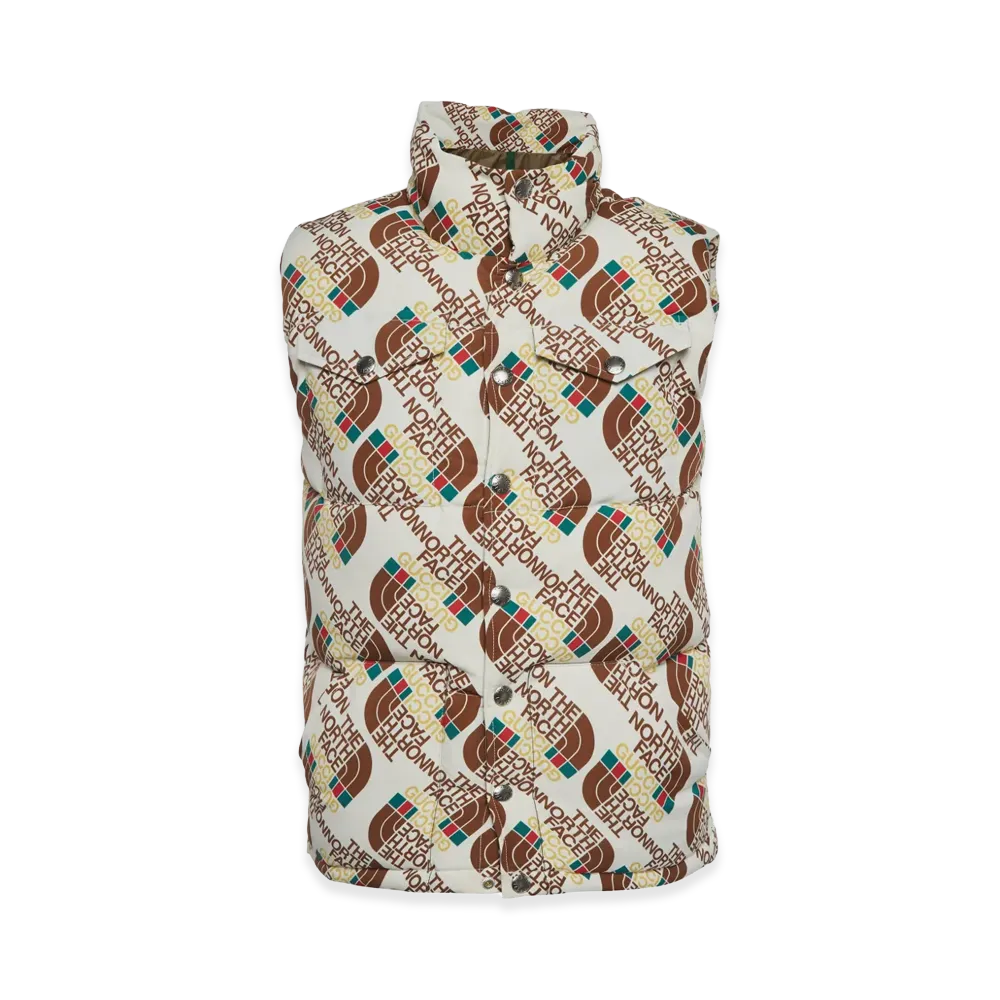 GUCCI x The North Face Down Vest "Multi"