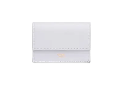 CELINE Folded Wallet in Smooth Calfskin "Light Gray"