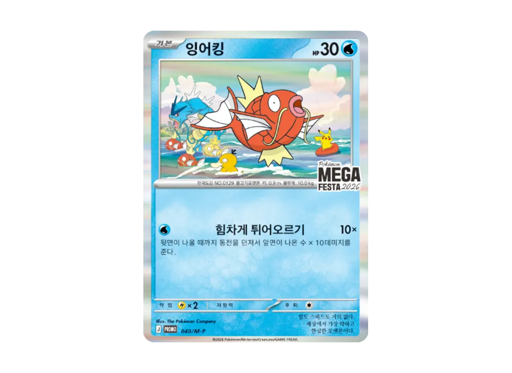 メガフェスタ コイキング プロモカードパック2パック 韓国限定 メガフェスタ コイキング プロモカードパック2パック 韓国限定