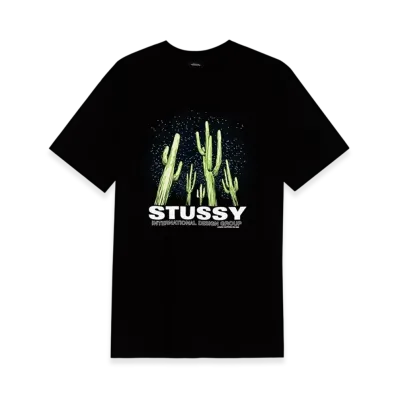 Stussy Saguaro Tee "Black"