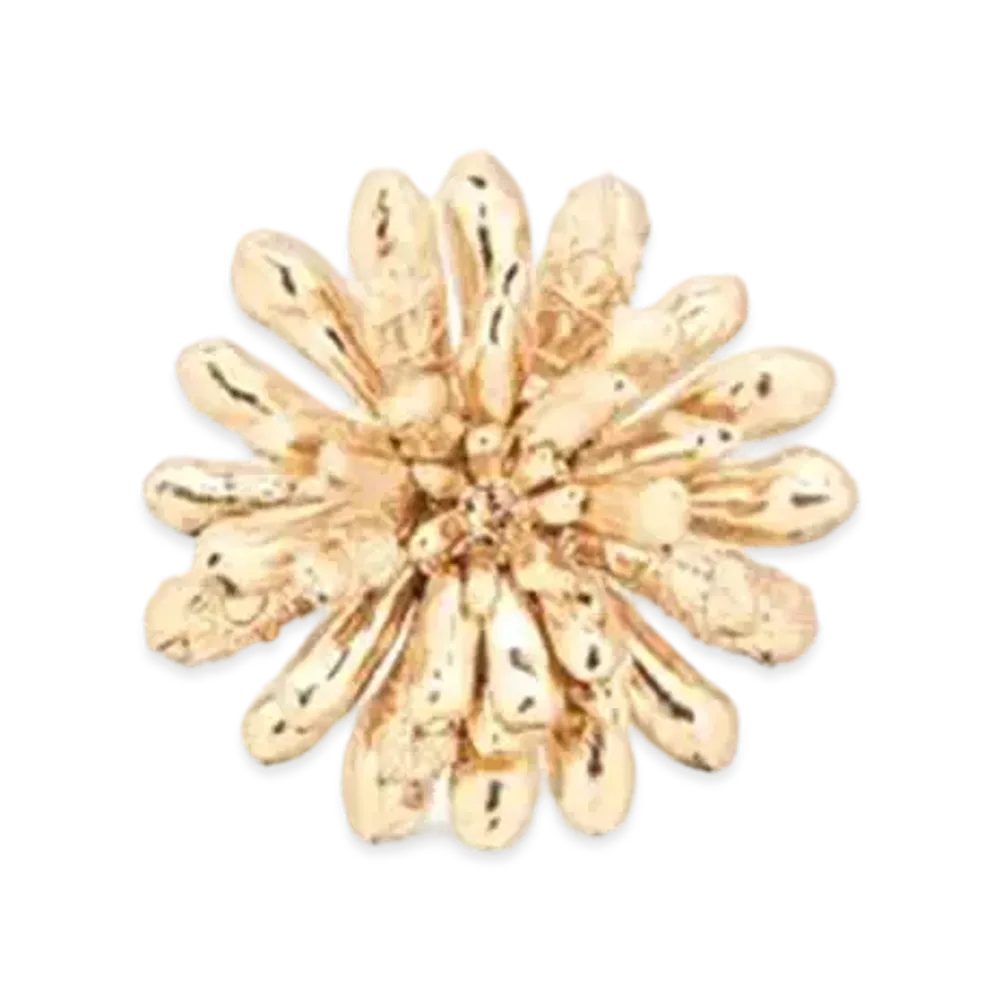 Dior Cannage Brooch Brass and Crystals "Gold"