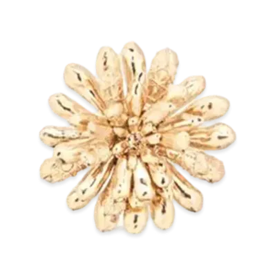 Dior Cannage Brooch Brass and Crystals "Gold"