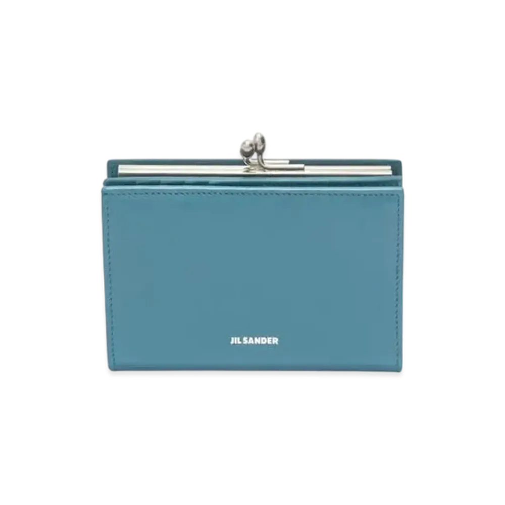 Jil Sander Goji Purse Small "Laguna"