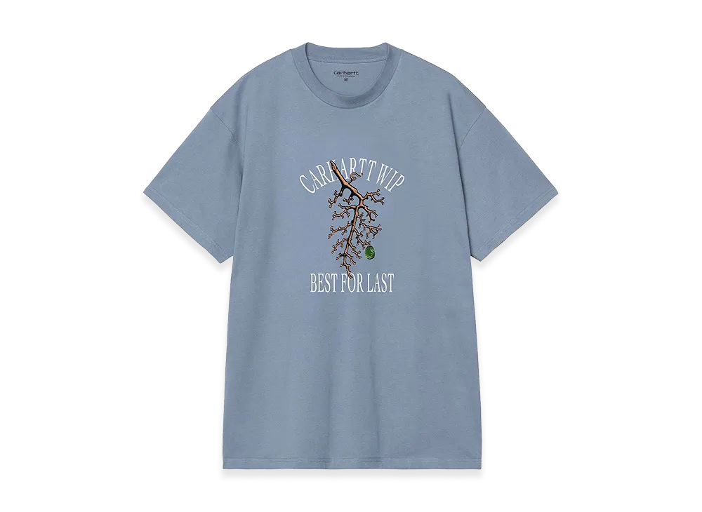Carhartt WIP S/S Restraint T-Shirt "Icesheet"