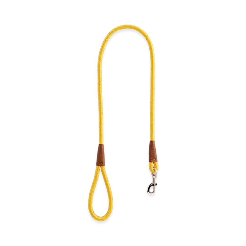 Kith x wagwear Rope Leash "Yellow"