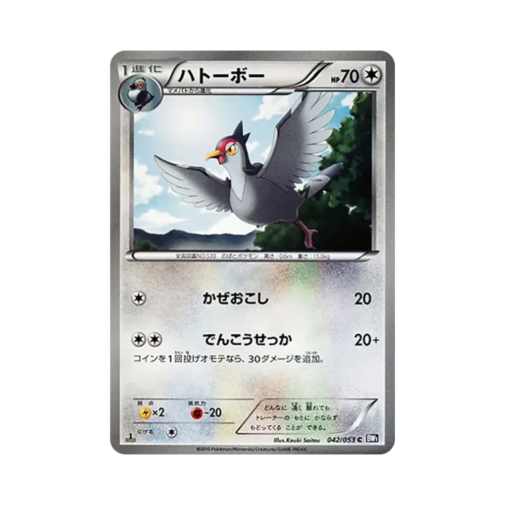 波波鴿