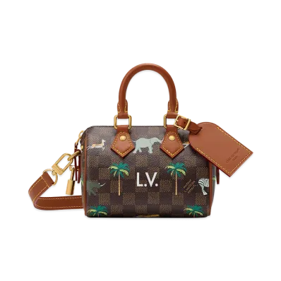 Louis Vuitton x The Darjeeling Limited Speedy Bandouliere 18 "Brown"
