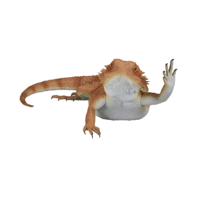 BANDAI "Ichiban Kuji" -Reptiles & Amphibians ~Tiny Friends~- Last One Prize Bearded Dragon Figure Arm Waving Ver.