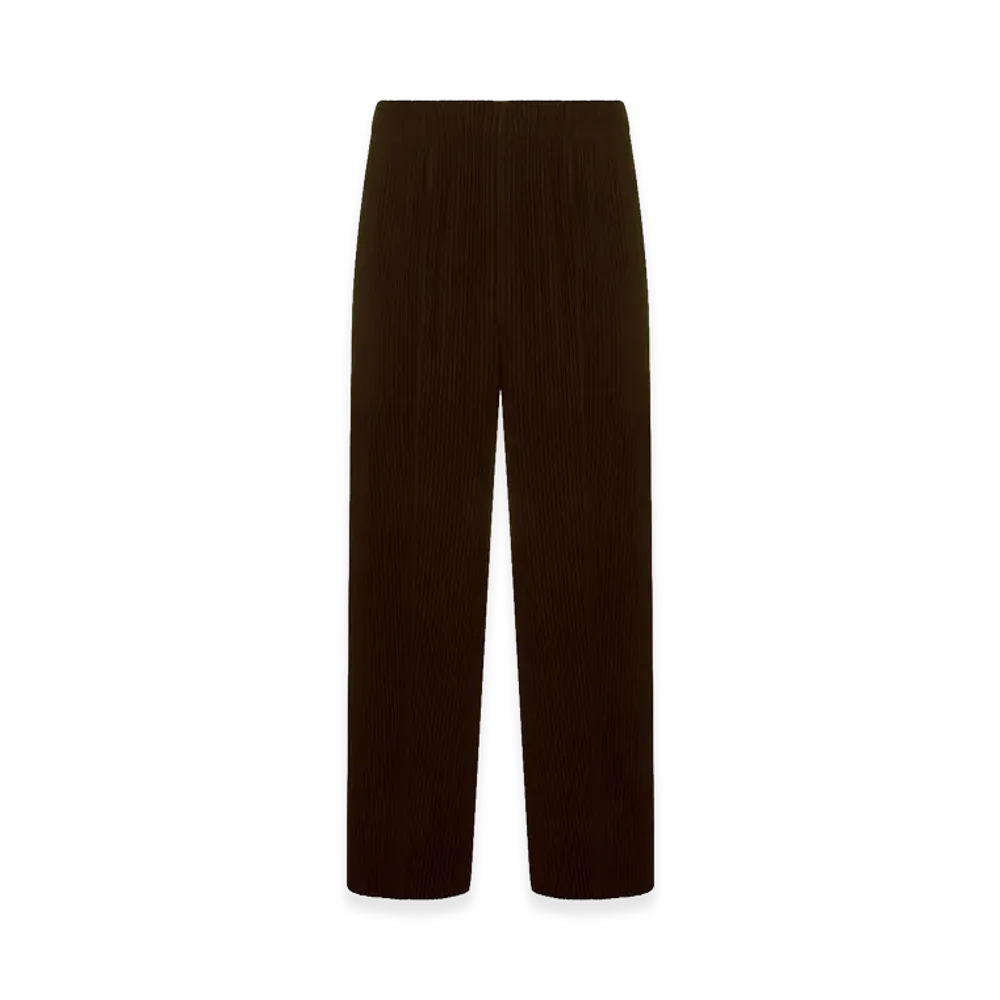 HOMME PLISSE ISSEY MIYAKE Monthly Colors January Pants "Brown"