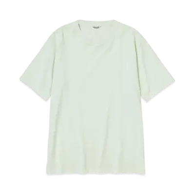 AURALEE Luster Plaiting Tee "Ivory Pistachio"