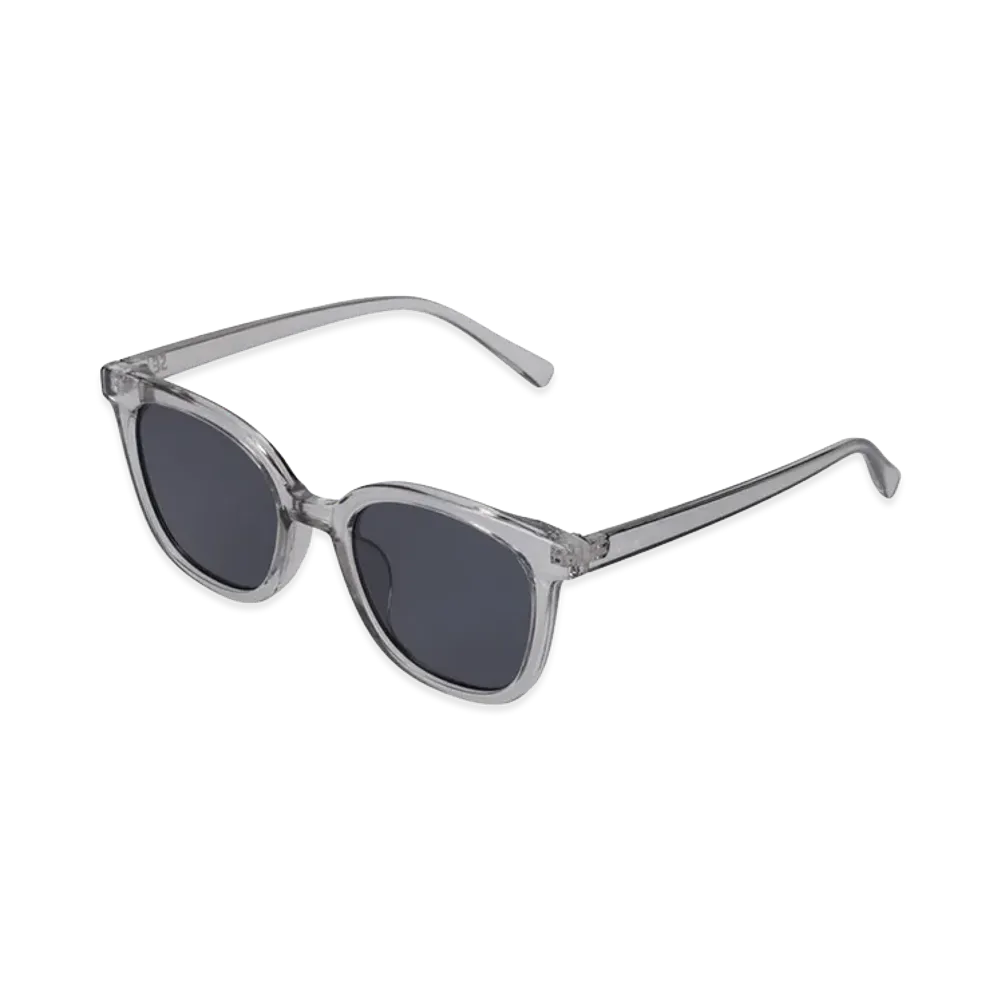 WIND AND SEA x NANGA NW Clear Sunglasses "Gray"