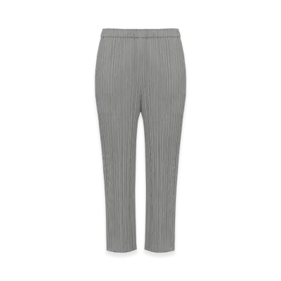 PLEATS PLEASE ISSEY MIYAKE Basics "Gray"