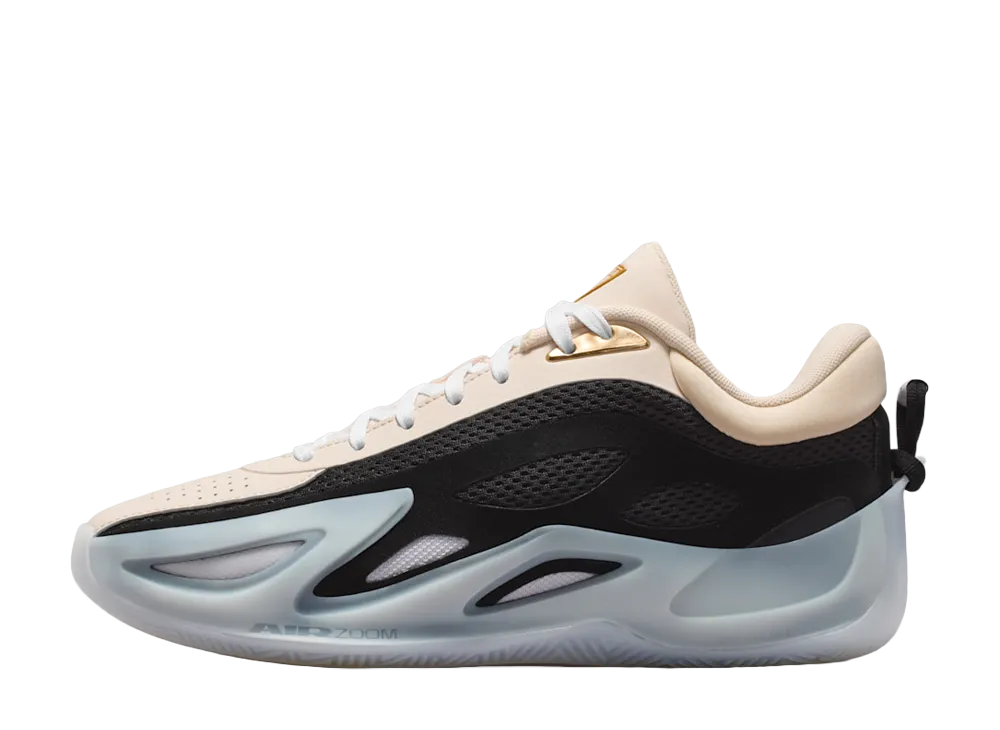 Nike Women's Jordan Heir Series 2 "WNBA/Precious Medal" (IR3491-200/IR3504-200)