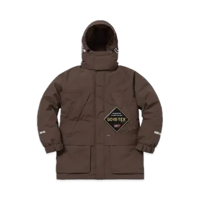 Supreme GORE-TEX 700-Fill Down Parka "Brown"