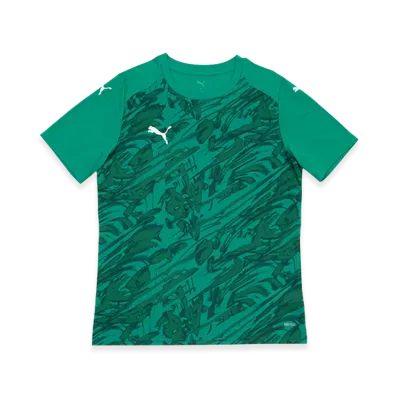 PUMA teamFINAL Graphic Match Shirt "Sports Green"
