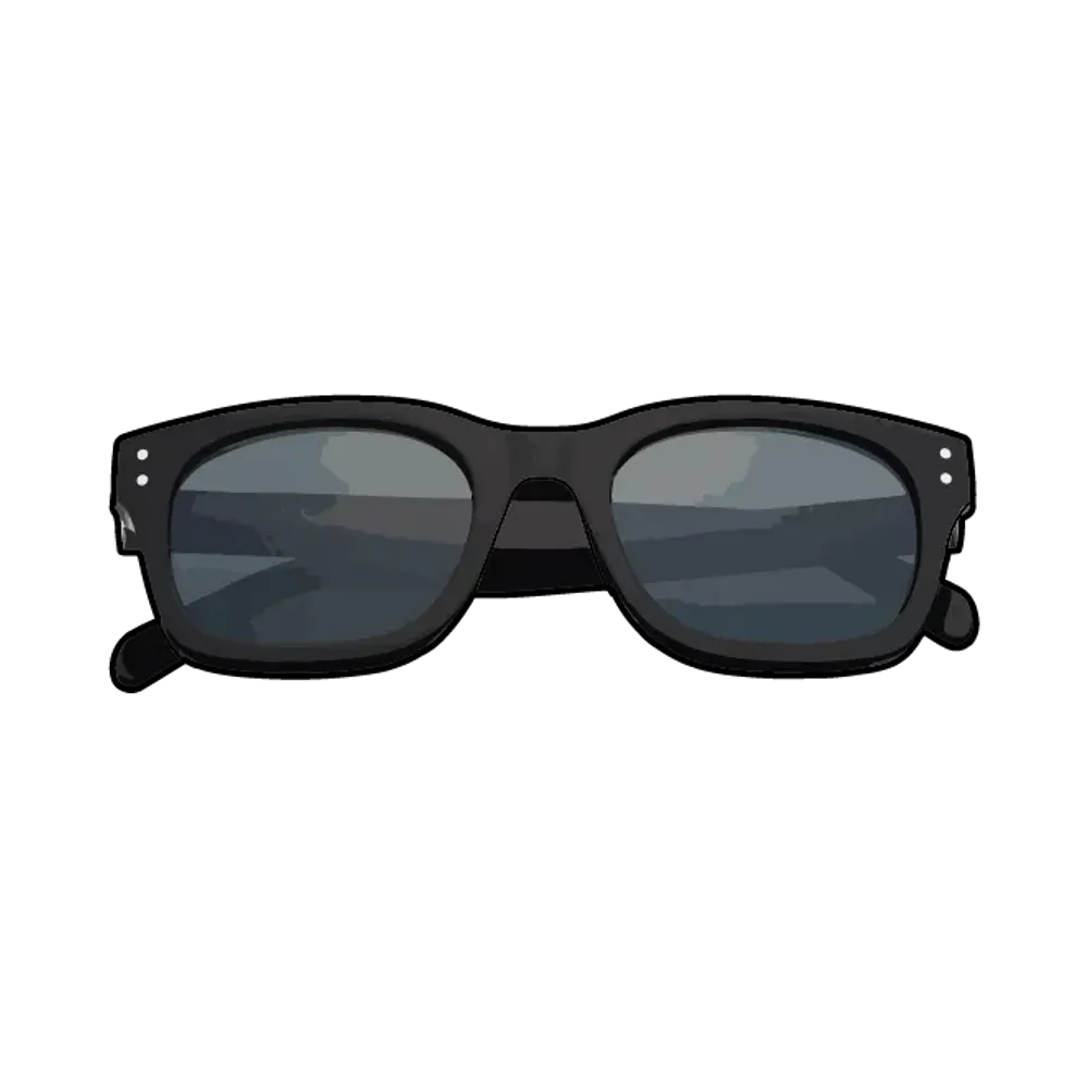 Supreme Avon Sunglasses "Black"