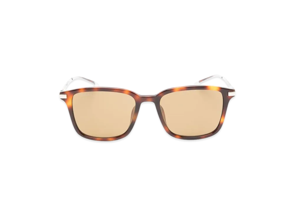 GUCCI Women's Sunglasses "Brown"