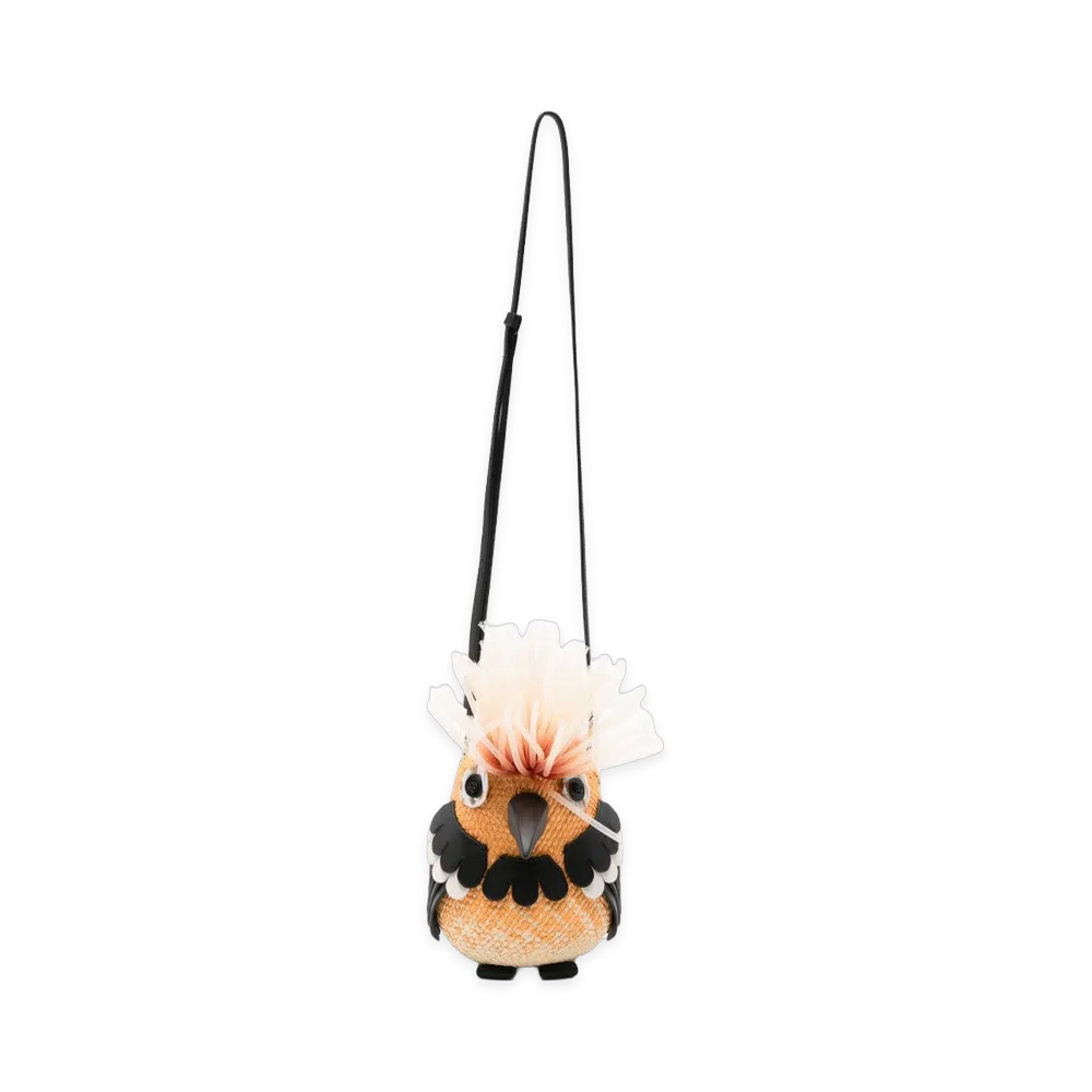 LOEWE Women's Paula's Ibiza Bags "Orange"