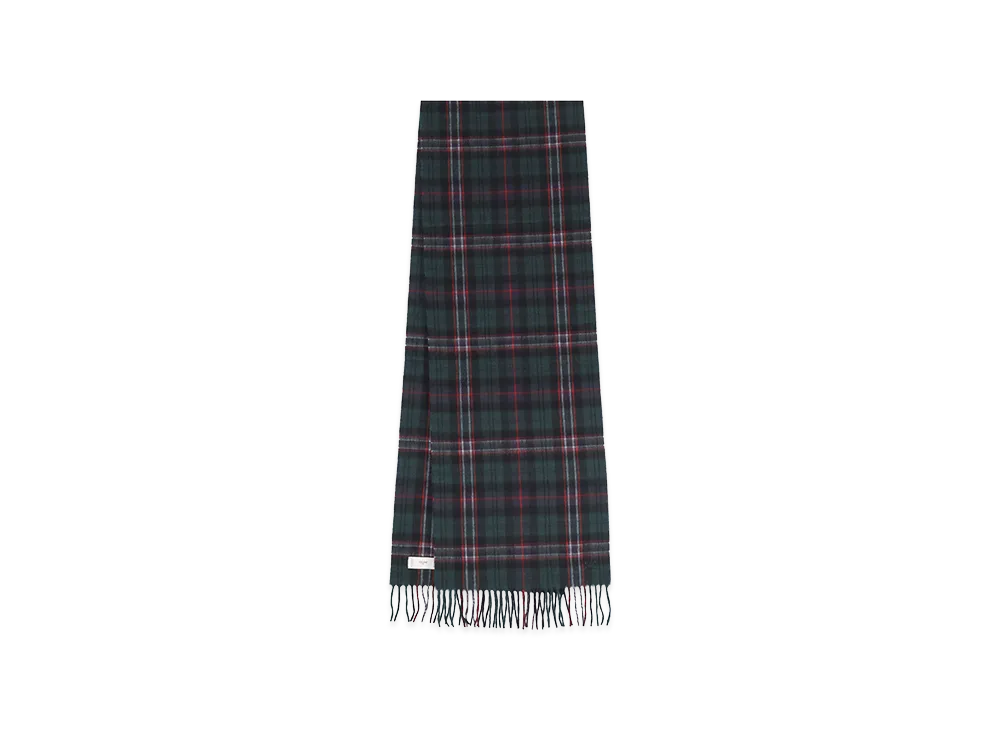 CELINE Scarfs "Green"