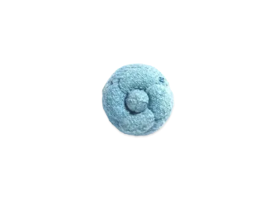CHANEL Camellia Wool Tweed "Blue/Turquoise"