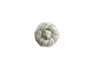 CHANEL Camellia Glittered Tweed "Green/Beige/Ecru"