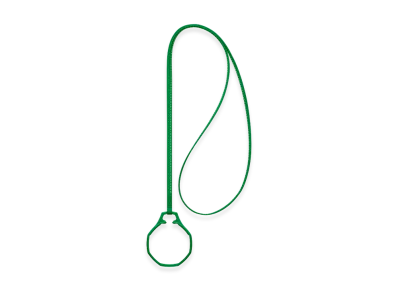 Swatch Royal Pop Leather Lanyard Green Eight "Green"