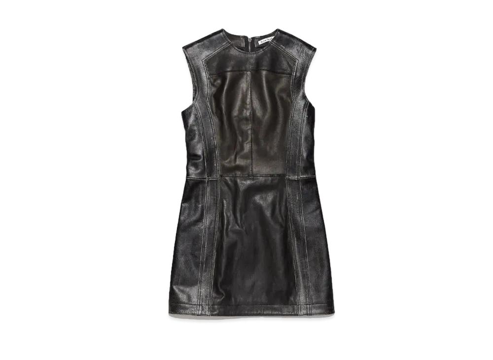 Acne Studios Sleeveless Leather Dress "Black"
